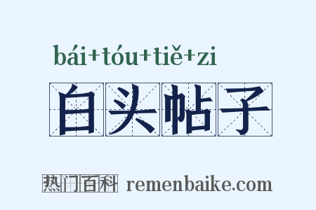 白头帖子是什么意思的图片